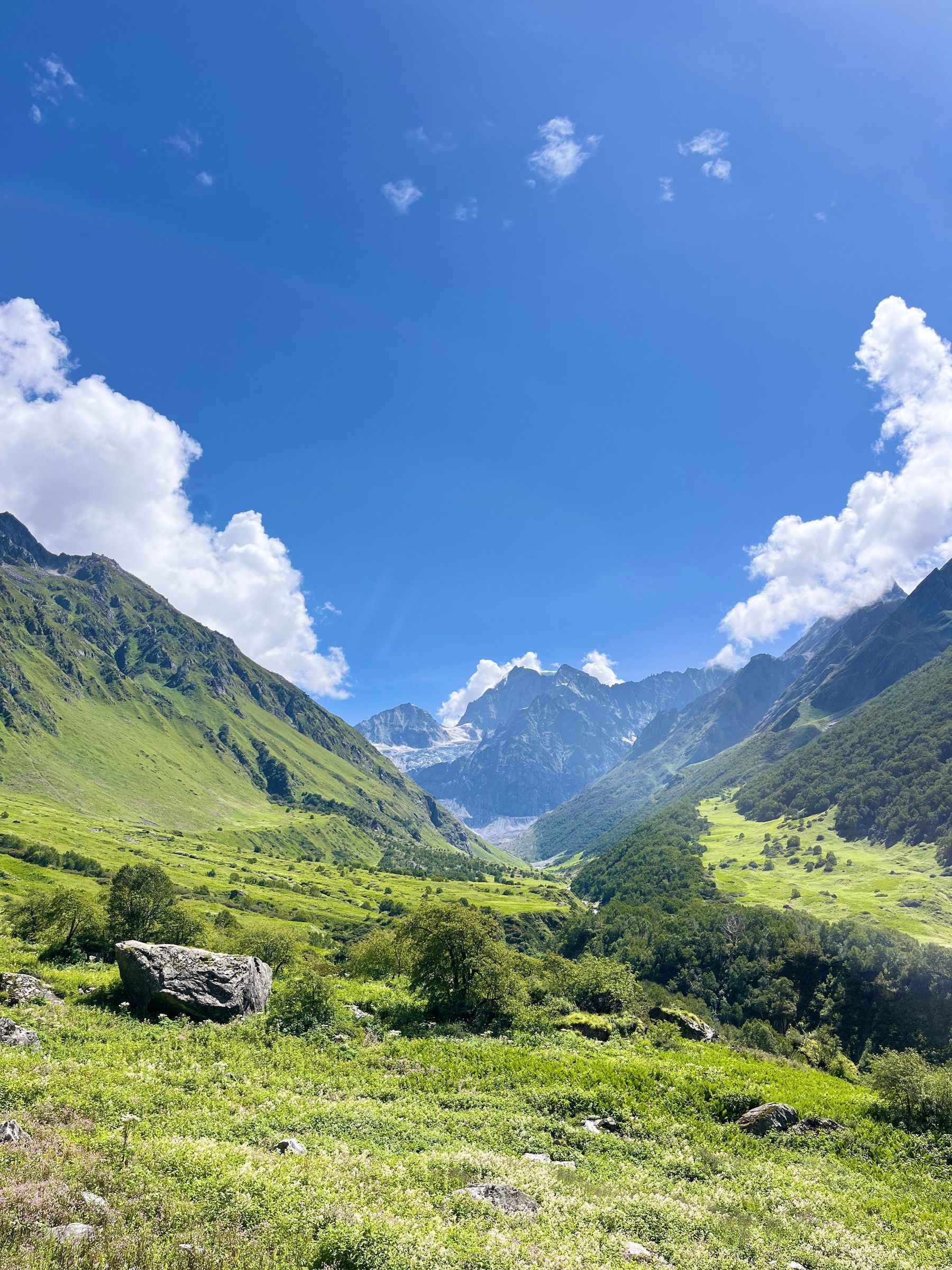Valley of Flowers Himalayan valley