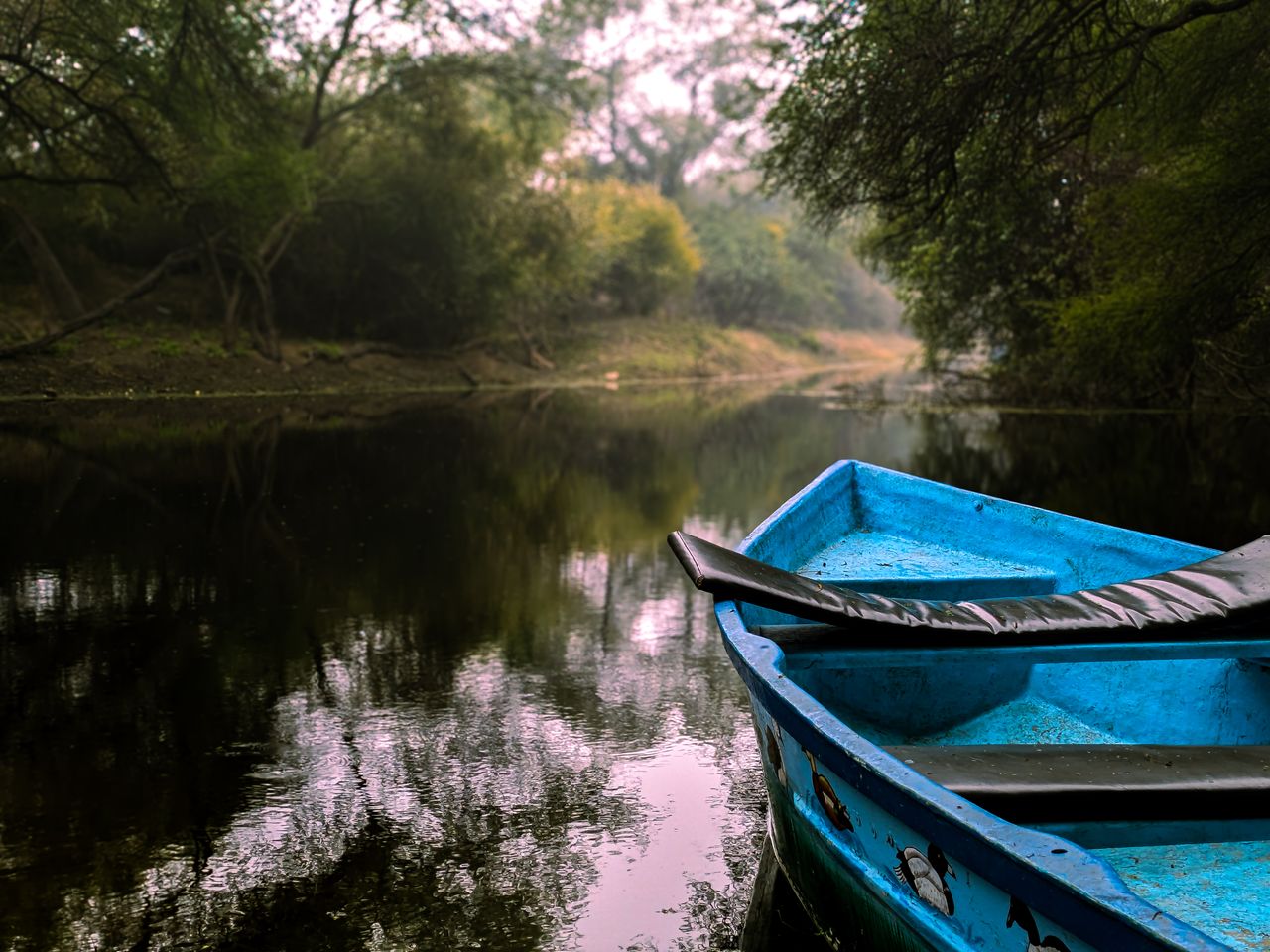 peaceful river scene with a vibrant blue boat surrounded by lush green