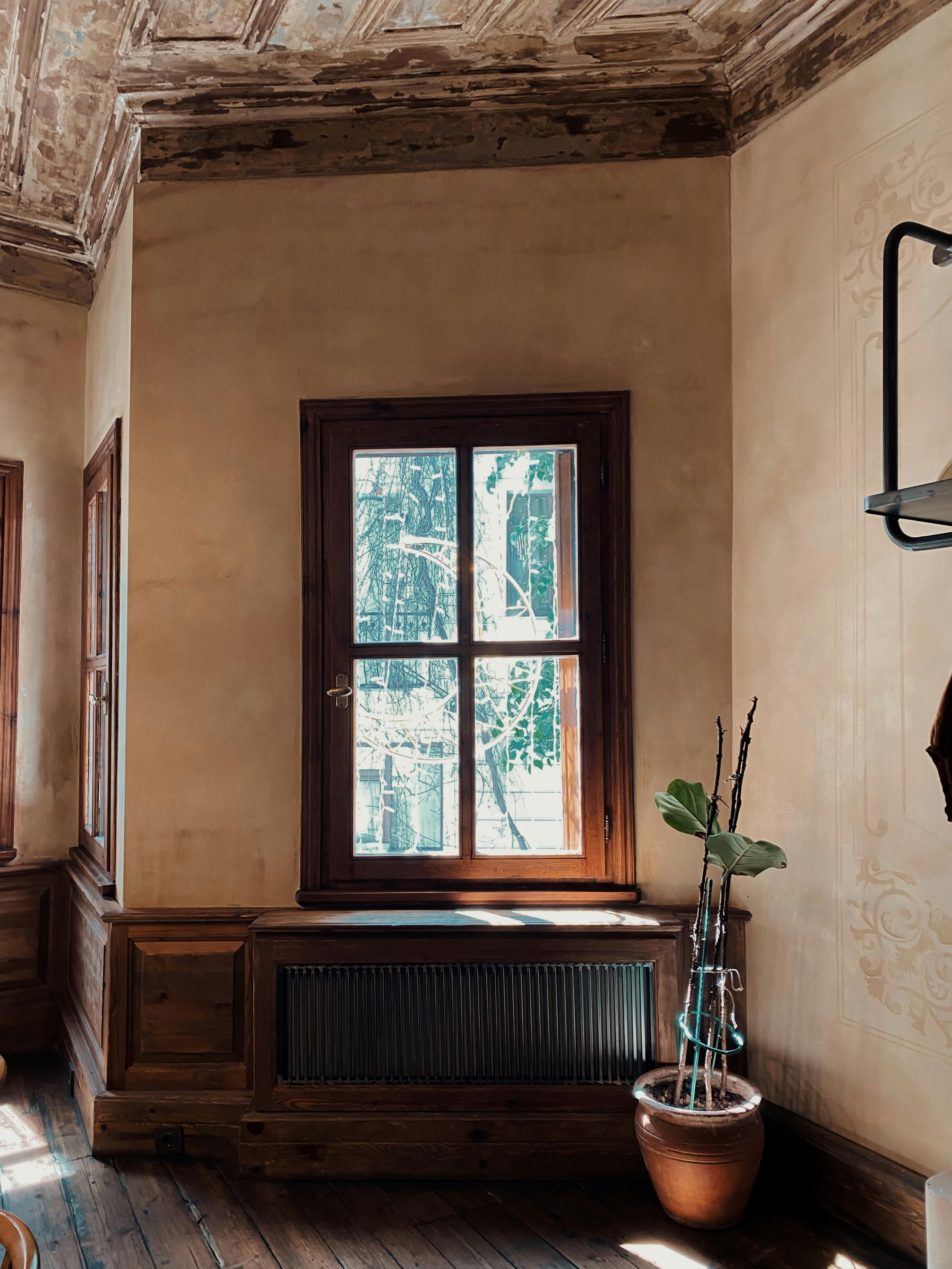 Gratuit Intérieur de chambre rustique et chaleureux avec lumière naturelle à travers une fenêtre en bois, mettant en valeur une plante en pot. Photos