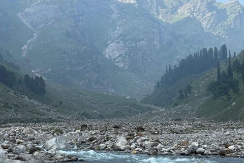 Luxury Mountain Resorts Mussoorie