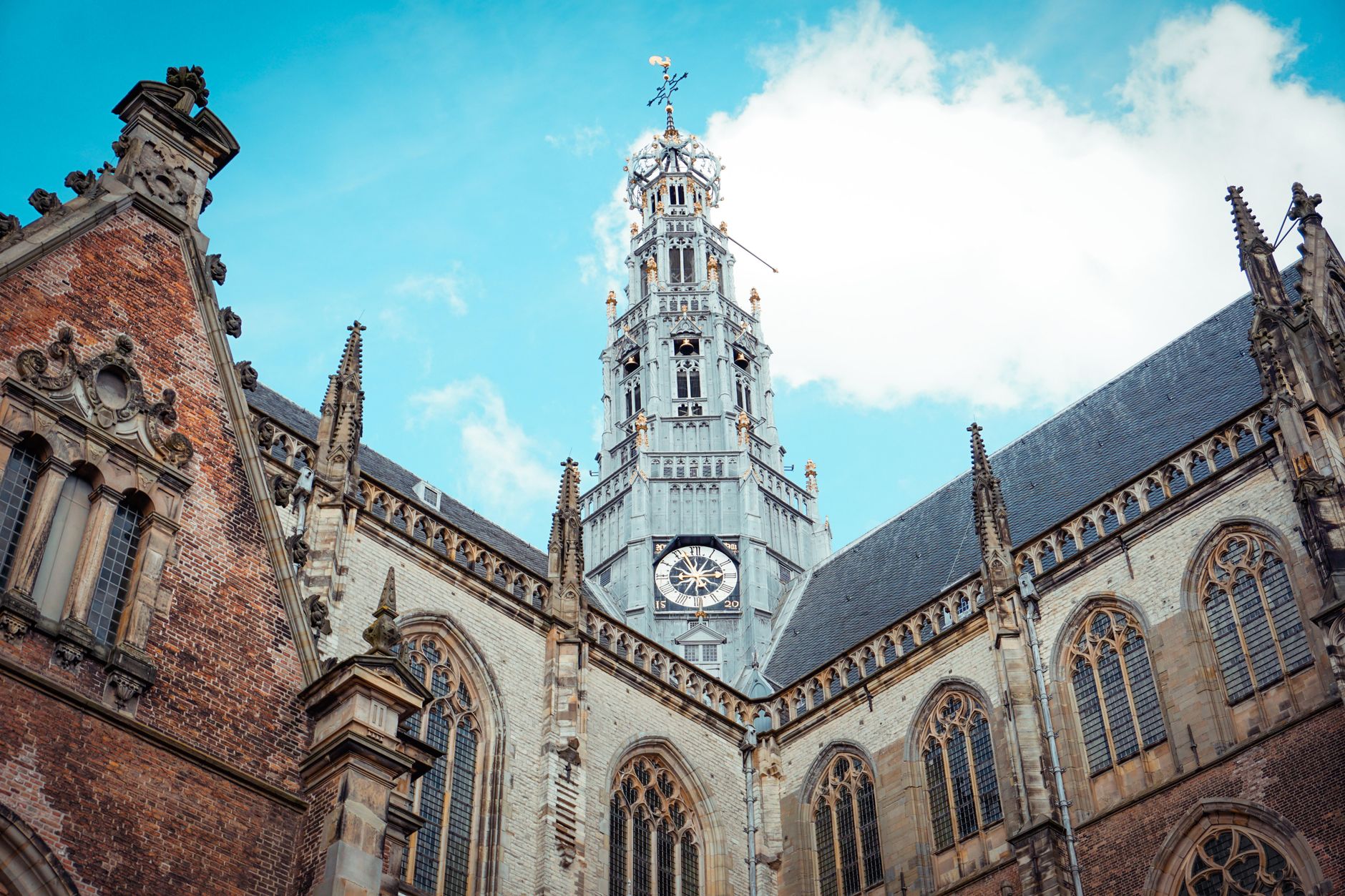 Popular sights in Haarlem Landmarks in Haarlem