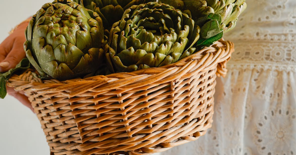 【2025 LIVE!享綠生活派對】🌿市集亮點全攻略,滿額贈禮與獨家好友禮一次揭曉!