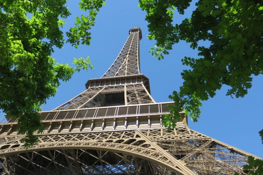 The Eiffel Tower rises majestically against a clear blue sky, framed by lush green foliage.
