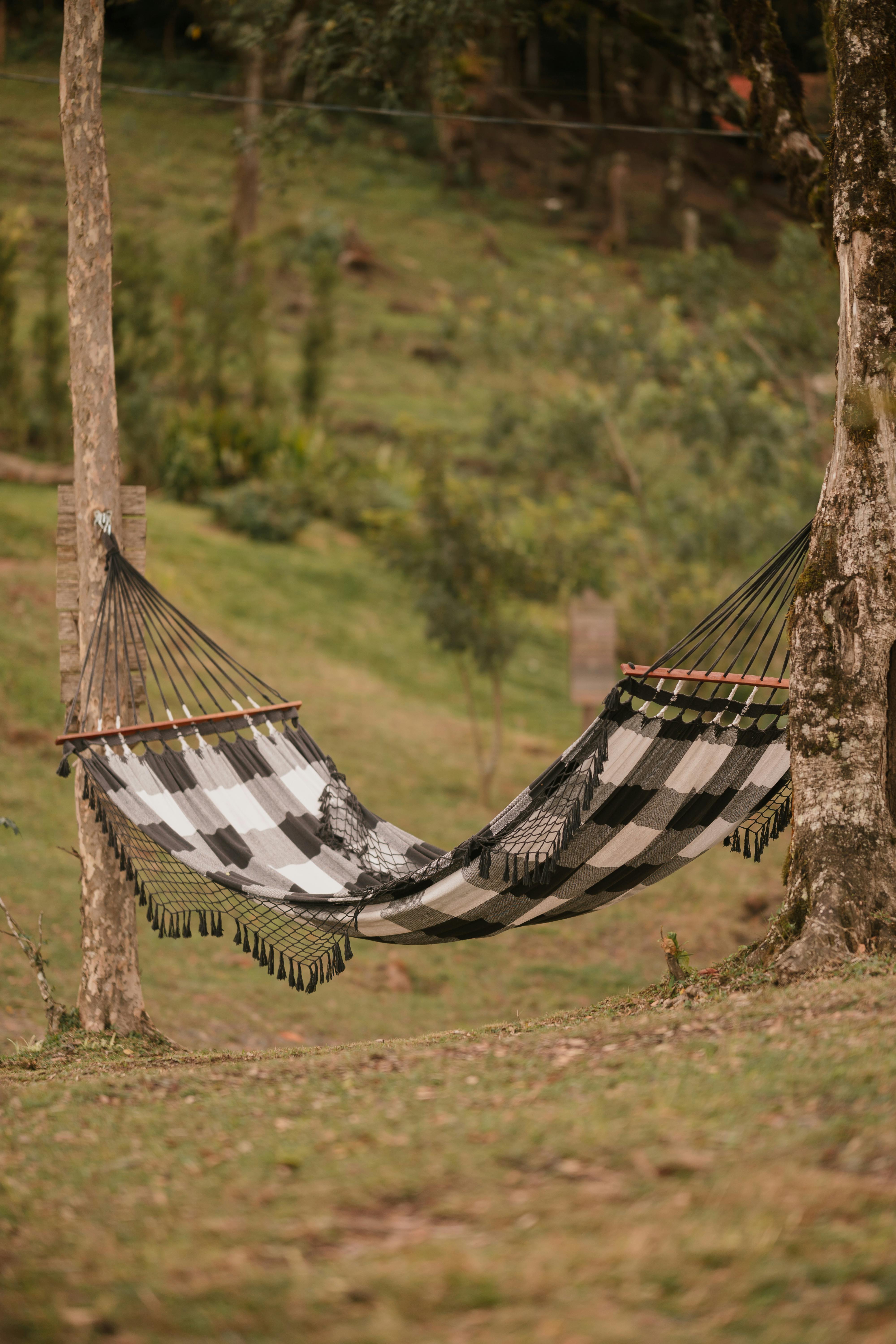 A cozy black and white plaid hammock suspended between two trees in a tranquil forest area.