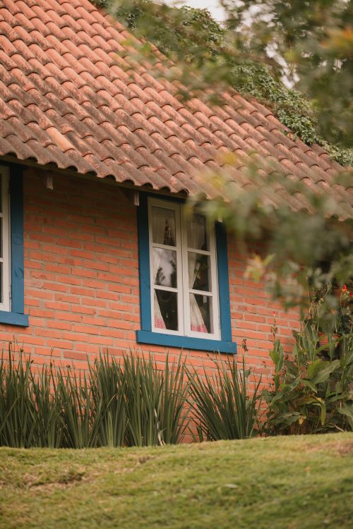 Free A cozy brick house with blue trim nestled in lush greenery, creating a serene and rustic ambiance. Stock Photo
