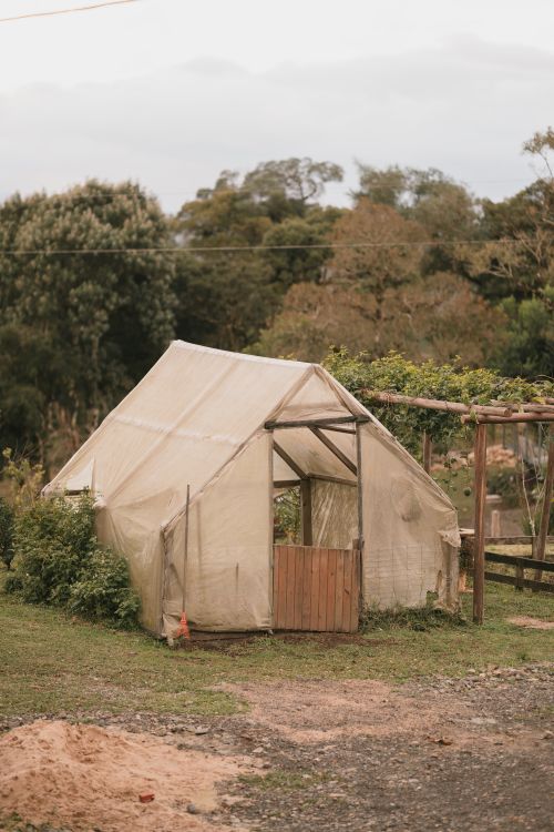 Free A charming rustic greenhouse surrounded by lush greenery in a serene outdoor garden setting. Stock Photo
