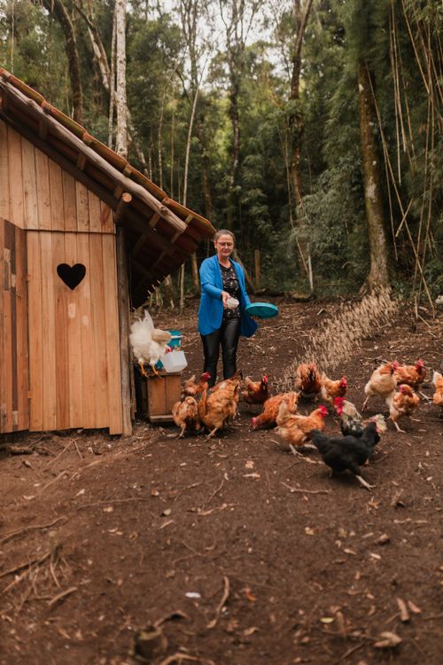 Free A farmer in a blue jacket feeds chickens near a rustic wooden coop in a forest setting. Stock Photo