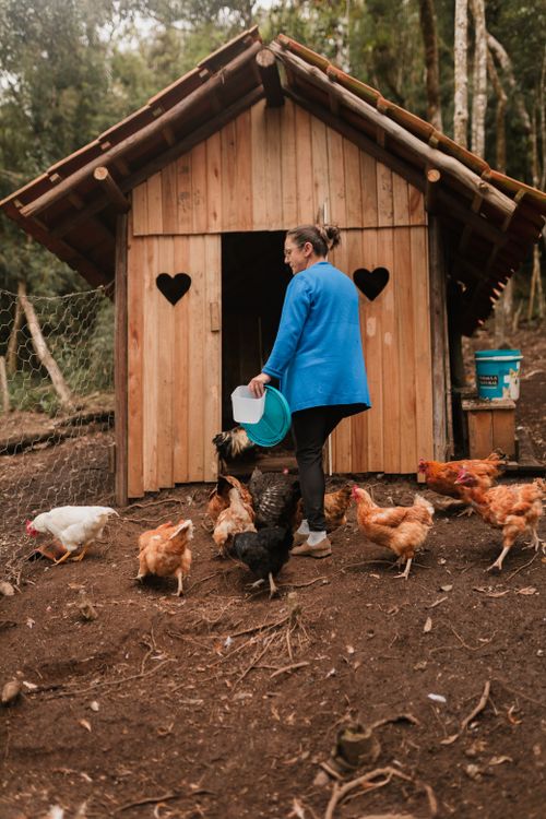 Free A woman in a blue jacket feeds chickens outside a rustic wooden chicken coop in a forest setting. Stock Photo