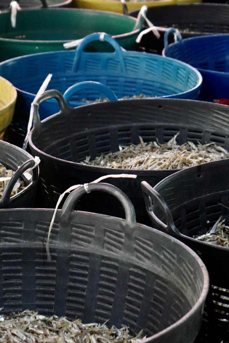 How To Catch Pompano Ebook