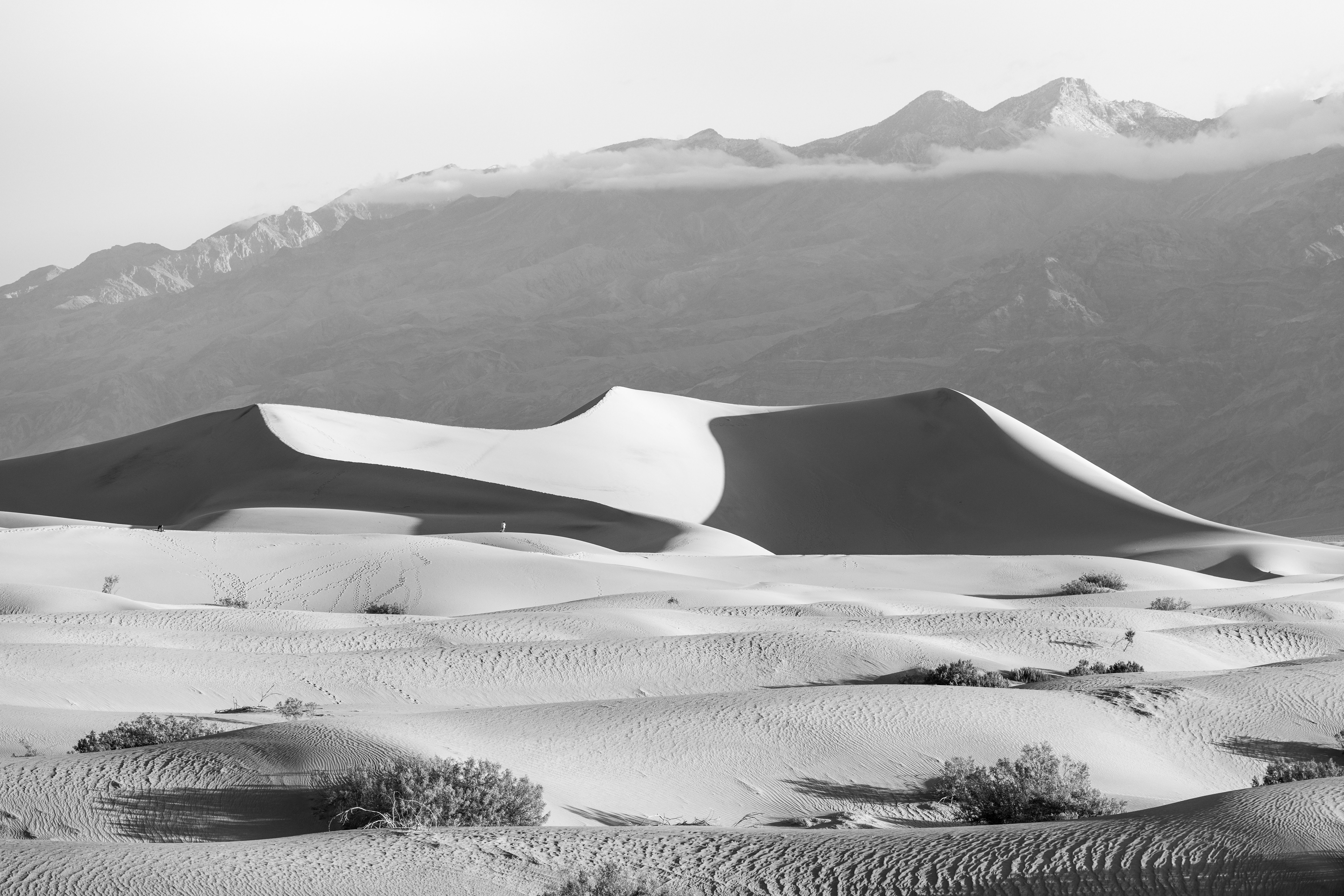 Mesmerizing Black and White Desert Landscape · Free Stock Photo