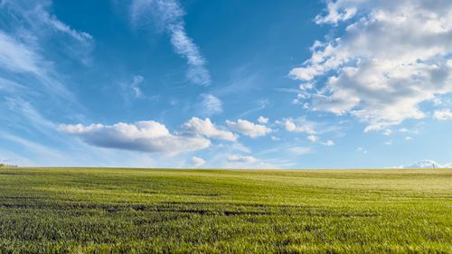 Free Expansive green landscape beneath a vibrant blue sky with fluffy clouds. Stock Photo