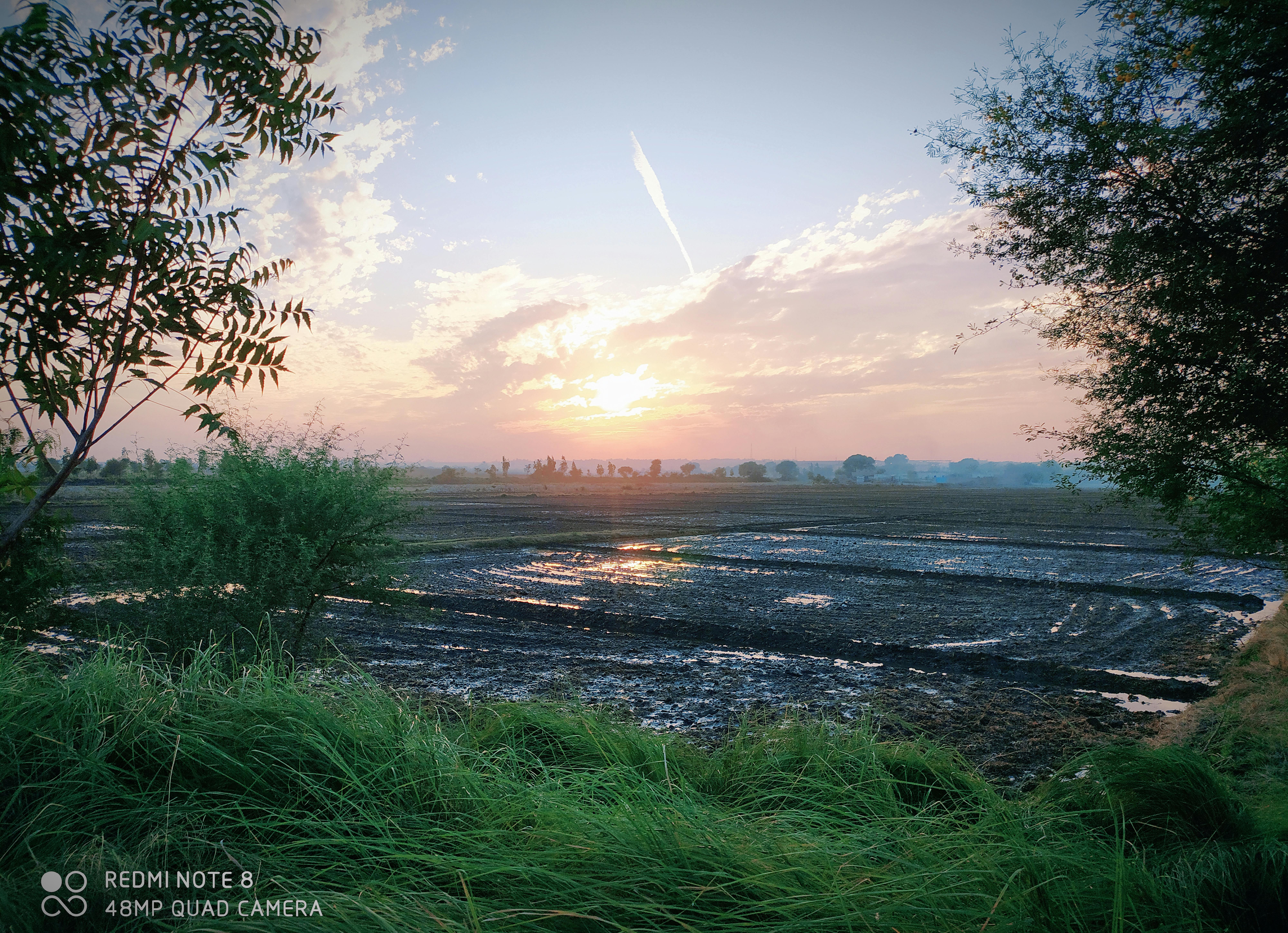 Kirstenbosch National Botanical Garden
