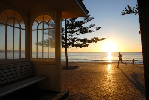 Immagine gratuita di alba, australia, manly beach
