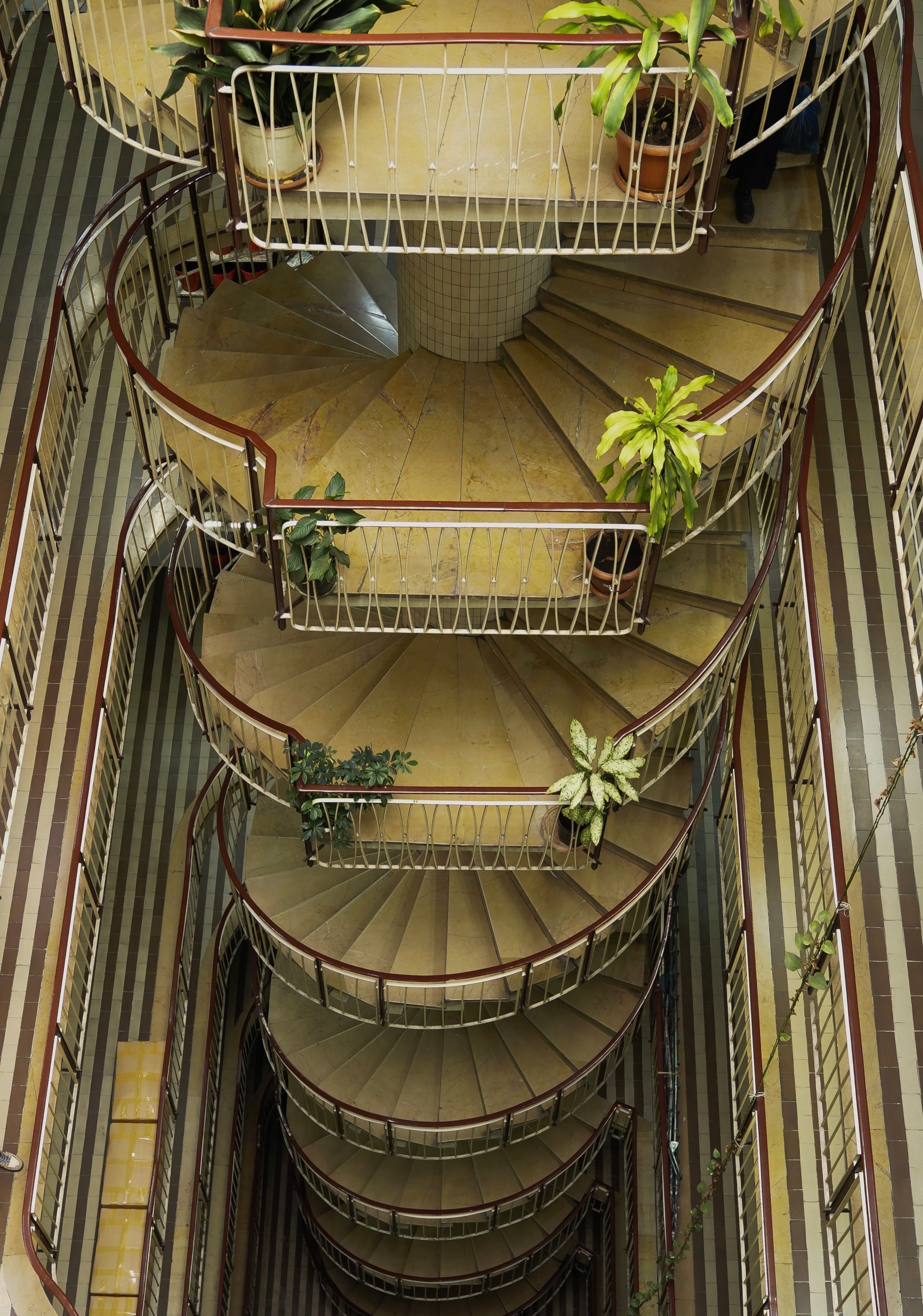 Spiral Staircase with Potted Plants from Above · Free Stock Photo