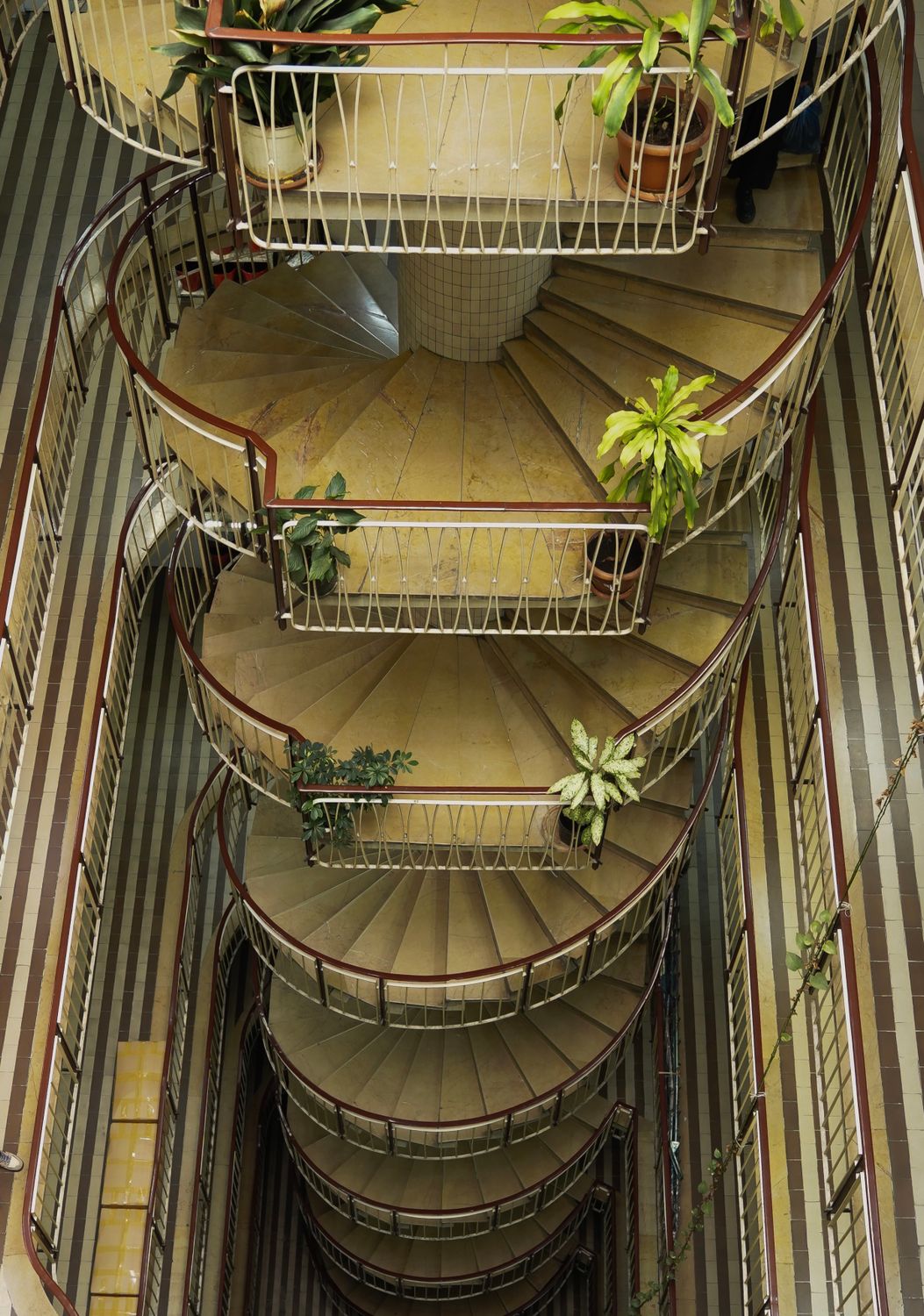Spiral Staircase with Potted Plants from Above · Free Stock Photo