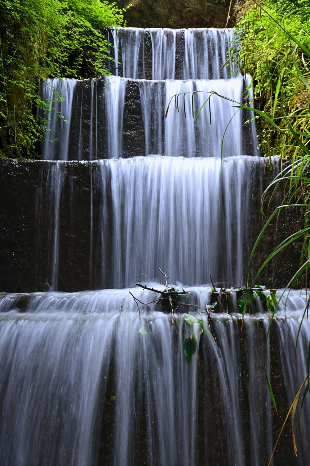 Tri Level Waterfall Tranquil Multi-Tier Waterfall in Lush Forest · Free Stock Photo