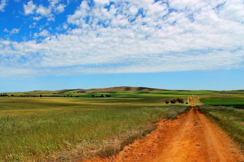 Immagine gratuita di australia, azienda agricola, burra