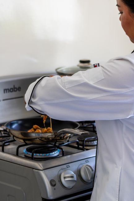 Exploring the Culinary Power of Professional Series Gas Ranges