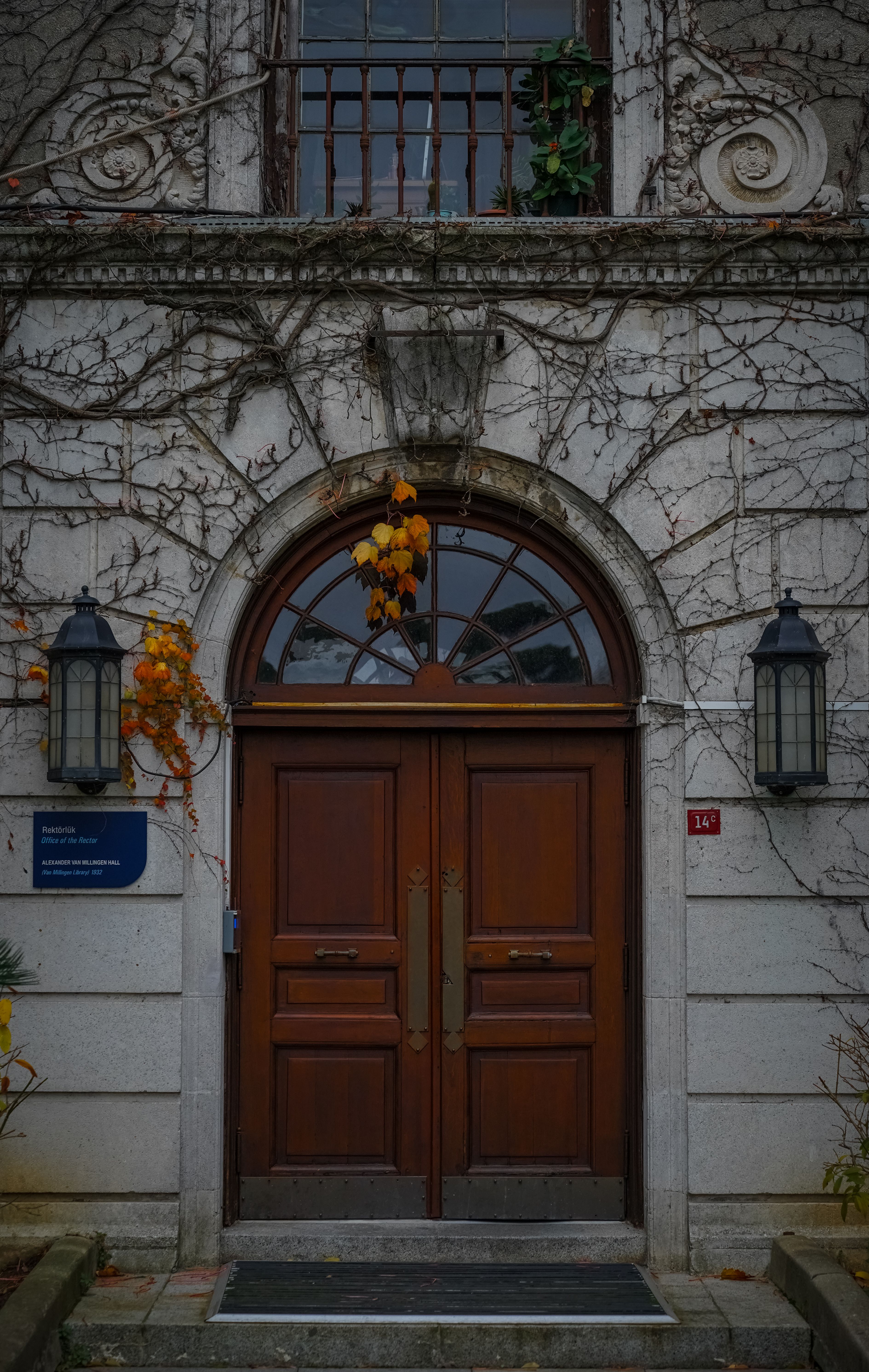 Elegant Arched Wooden Door with Autumn Ivy · Free Stock Photo