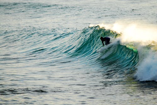Immagine gratuita di australia, bronte, fare surf