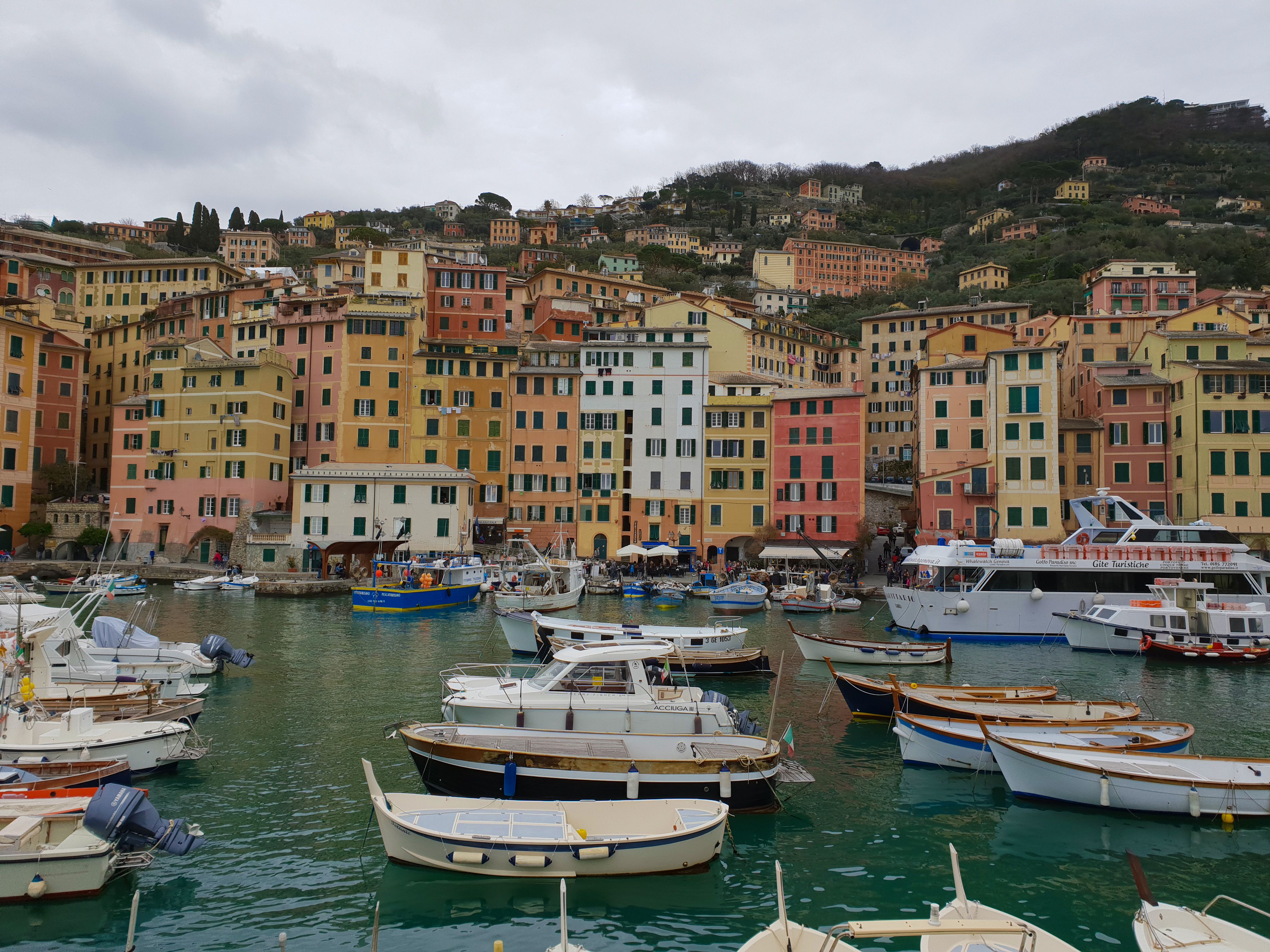 Vibrant Waterfront Of Camogli Italy With Boats Free Stock Photo