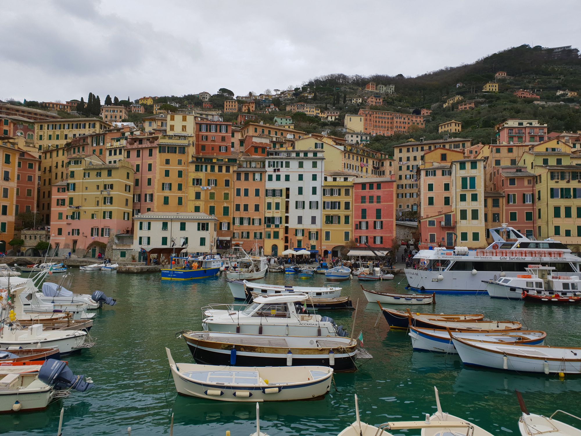 Vibrant Waterfront Of Camogli Italy With Boats Free Stock Photo Vibrant Waterfront Of Camogli Italy With Boats Free Stock Photo