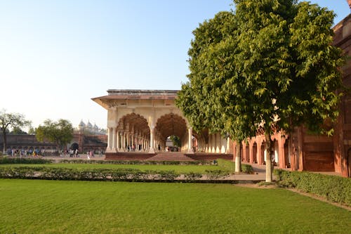 Immagine gratuita di agra, forte di agra, india