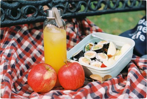 Free Vibrant picnic scene with sushi, apples, and juice on a checkered blanket outdoors. Stock Photo