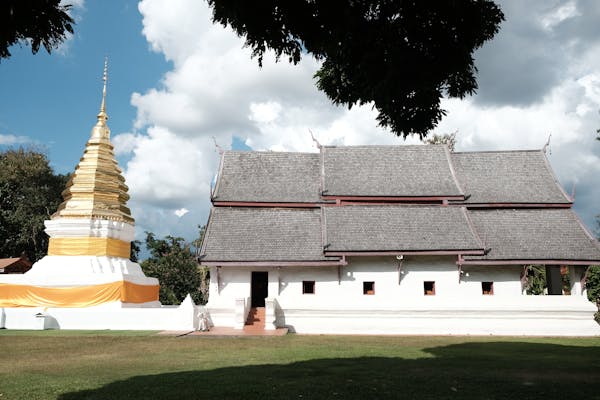 Pagode troglodyte