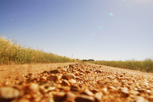 Free stock photo of australia, dubbo, new south wales