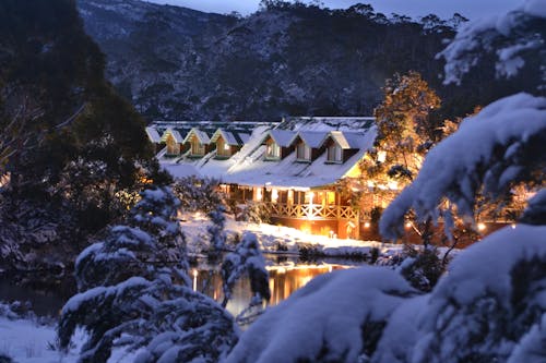 Immagine gratuita di australia, cottage, cradle mountain lodge