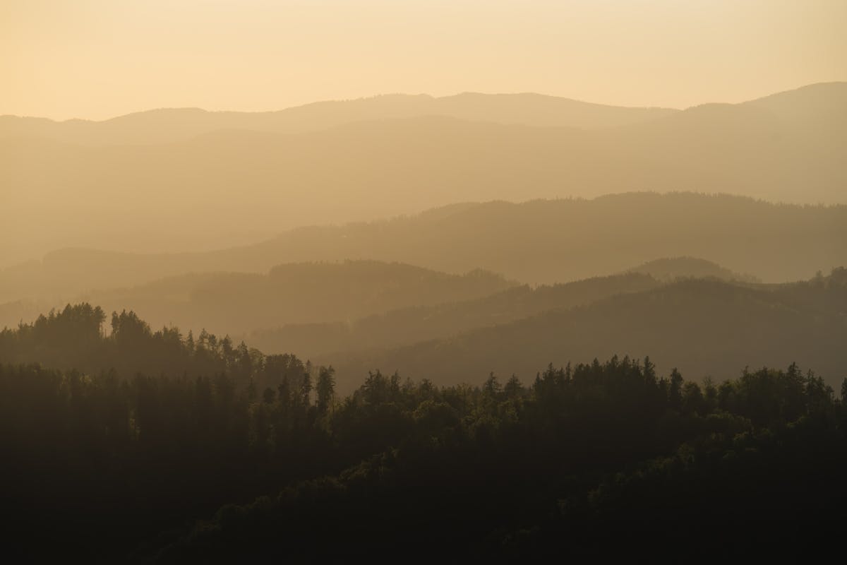 +Popular+Now+On+Bingmm+Images+Free+Download+2023+Free+ Photos, Download ...