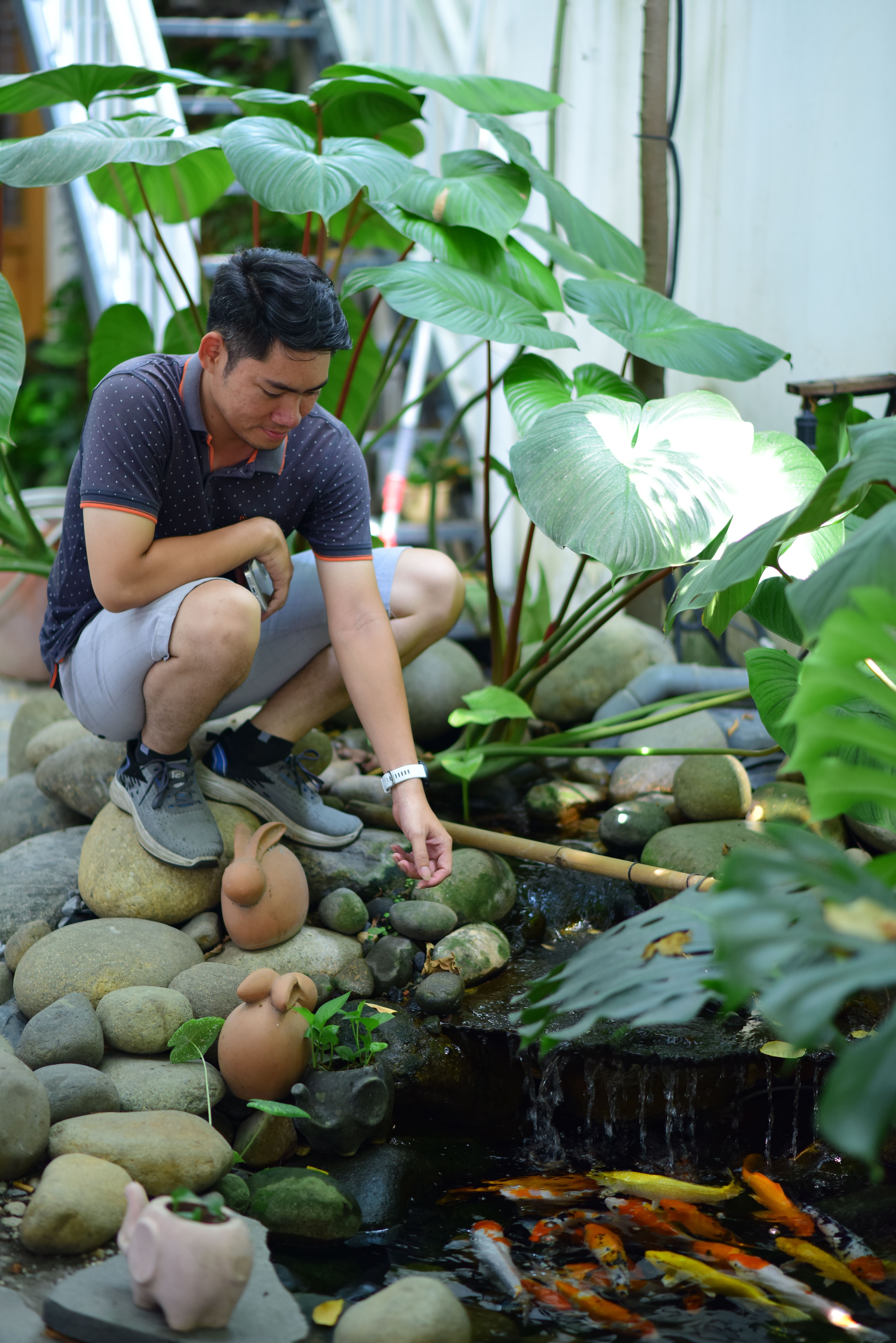 Man crouching by a garden pond feeding koi fish surrounded by lush greenery and rocks.