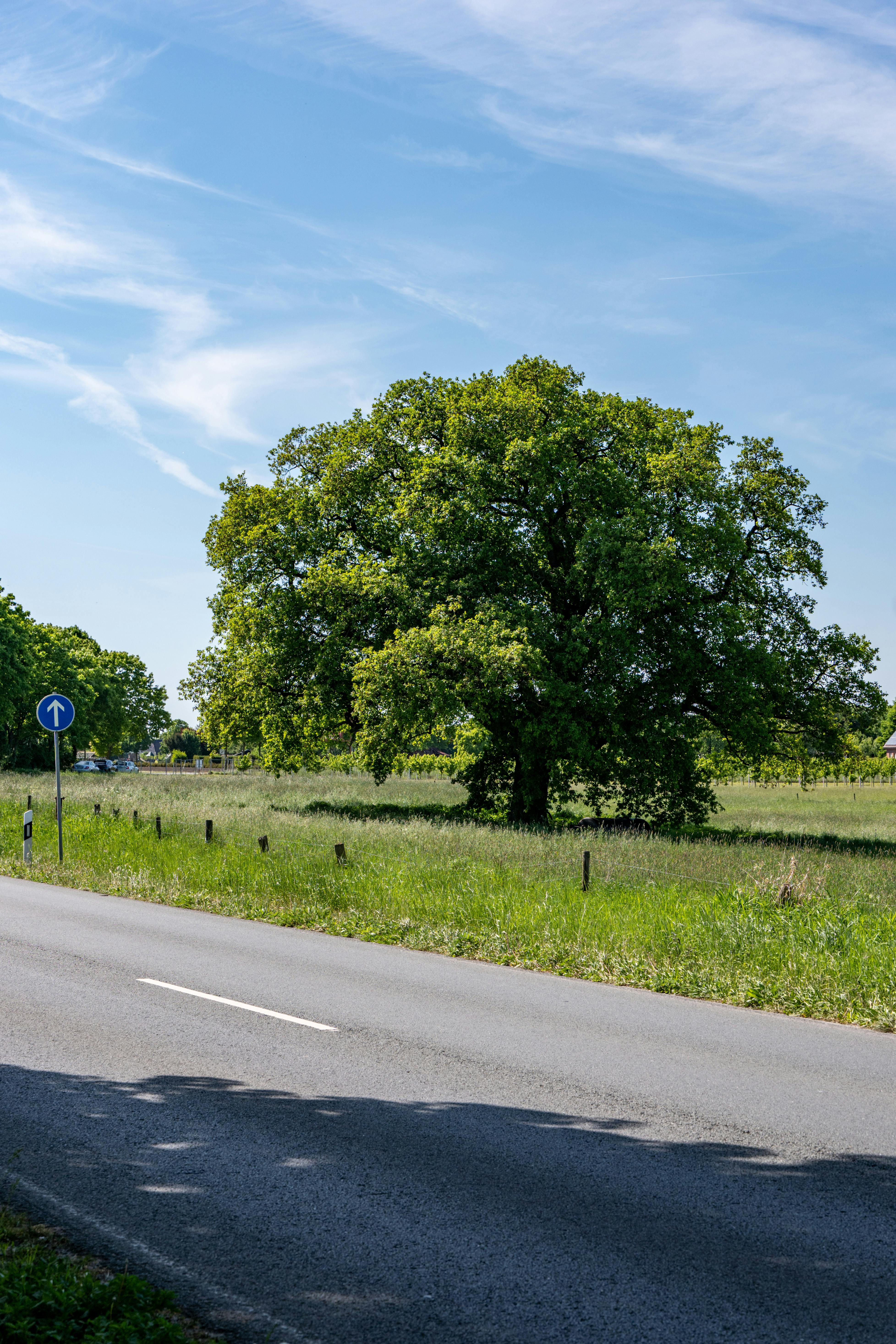 Big+Boob+Anime+Wallpaper Photos, Download The BEST Free Big+Boob+Anime+Wallpaper Stock Photos