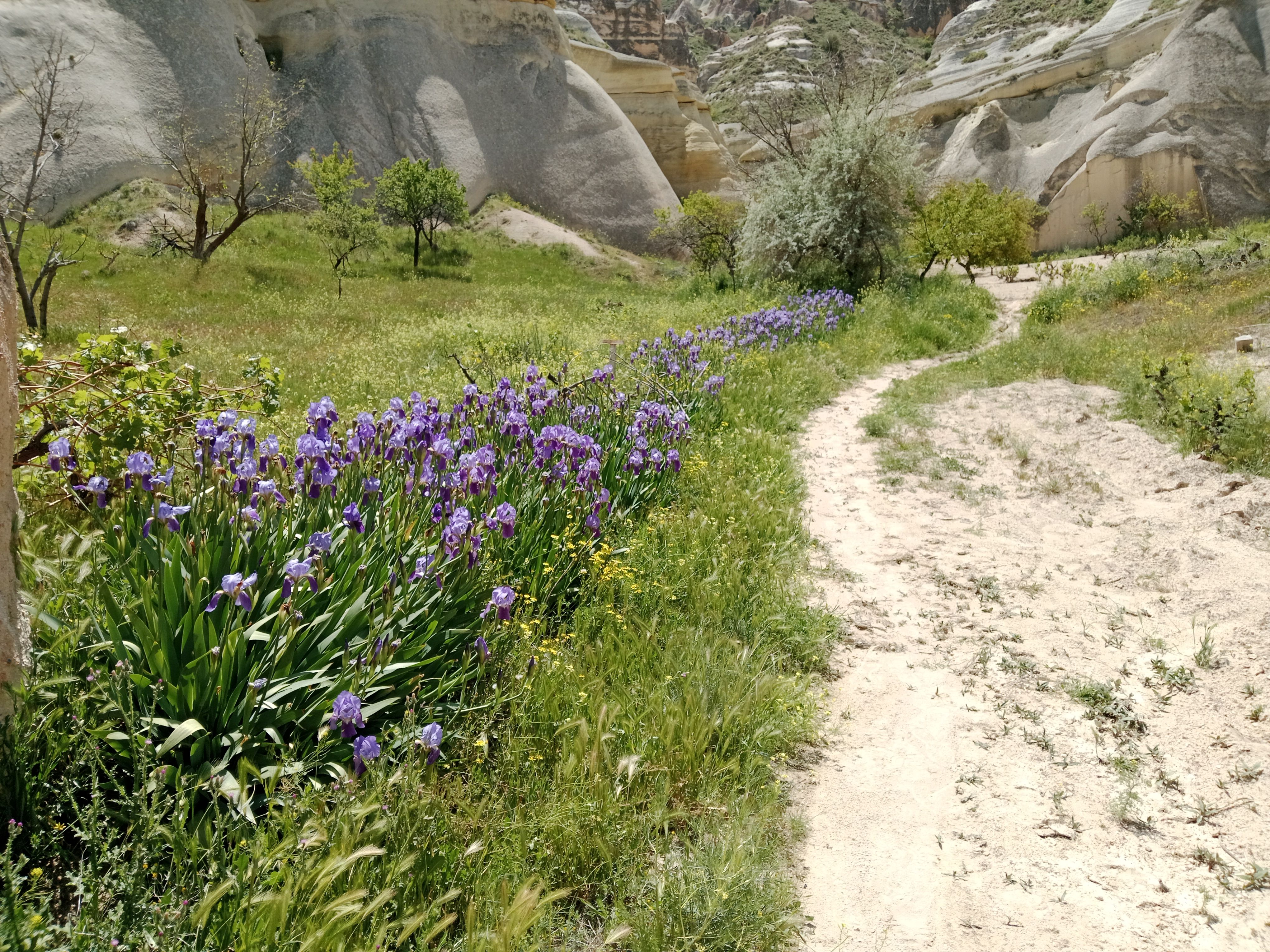 Cappadocia in Spring: Why April and May are the Best Months to Visit 4