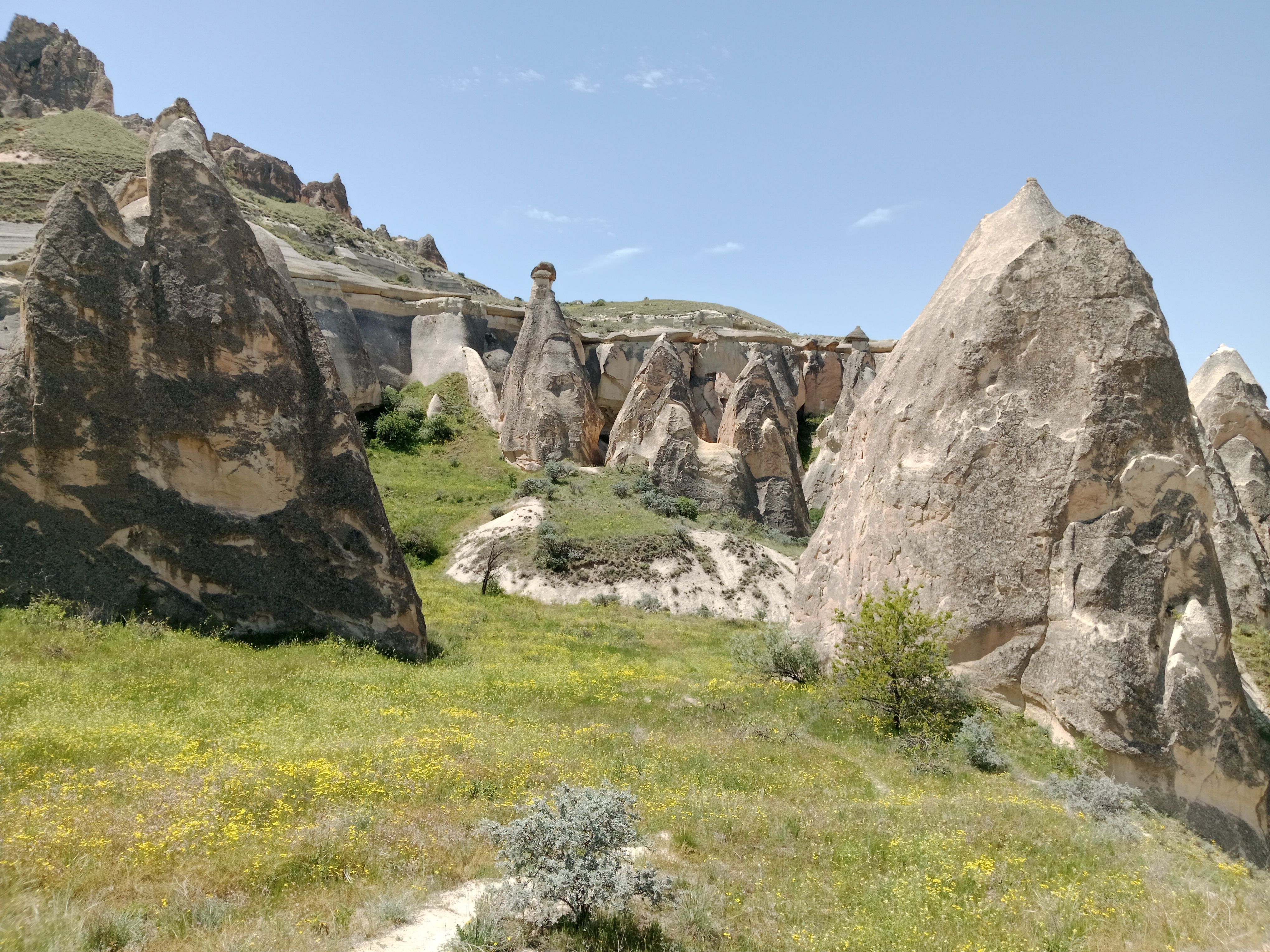 Day Trip Pinnacles National Park: Is It Possible?