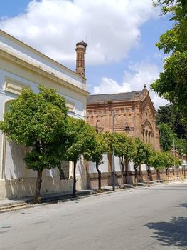 Charming street view in Jerez de la Frontera showcasing historic architecture and lush trees on a sunny day.