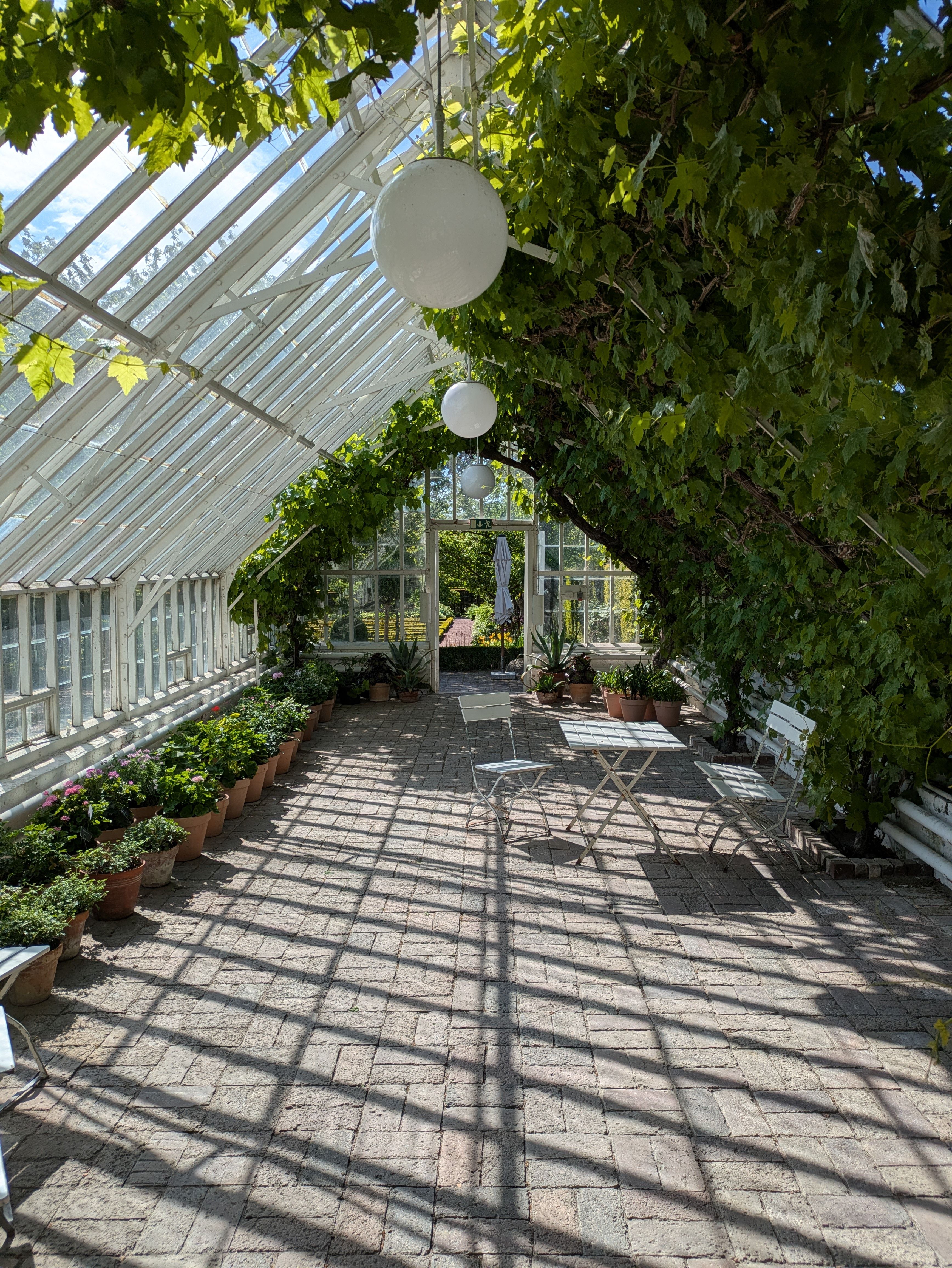 Sunlit Greenhouse Interior with Plants and Chairs · Free Stock Photo