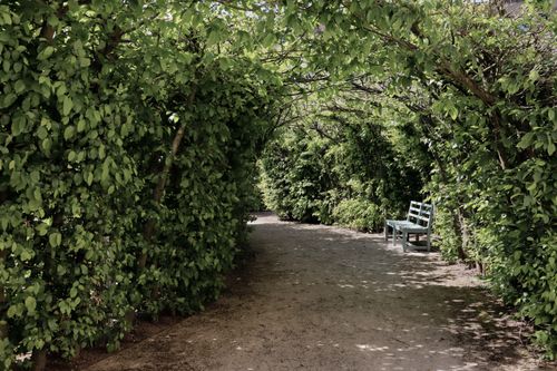 Free A peaceful garden path in Morschen, Germany, framed by lush greenery and a wooden bench. Stock Photo