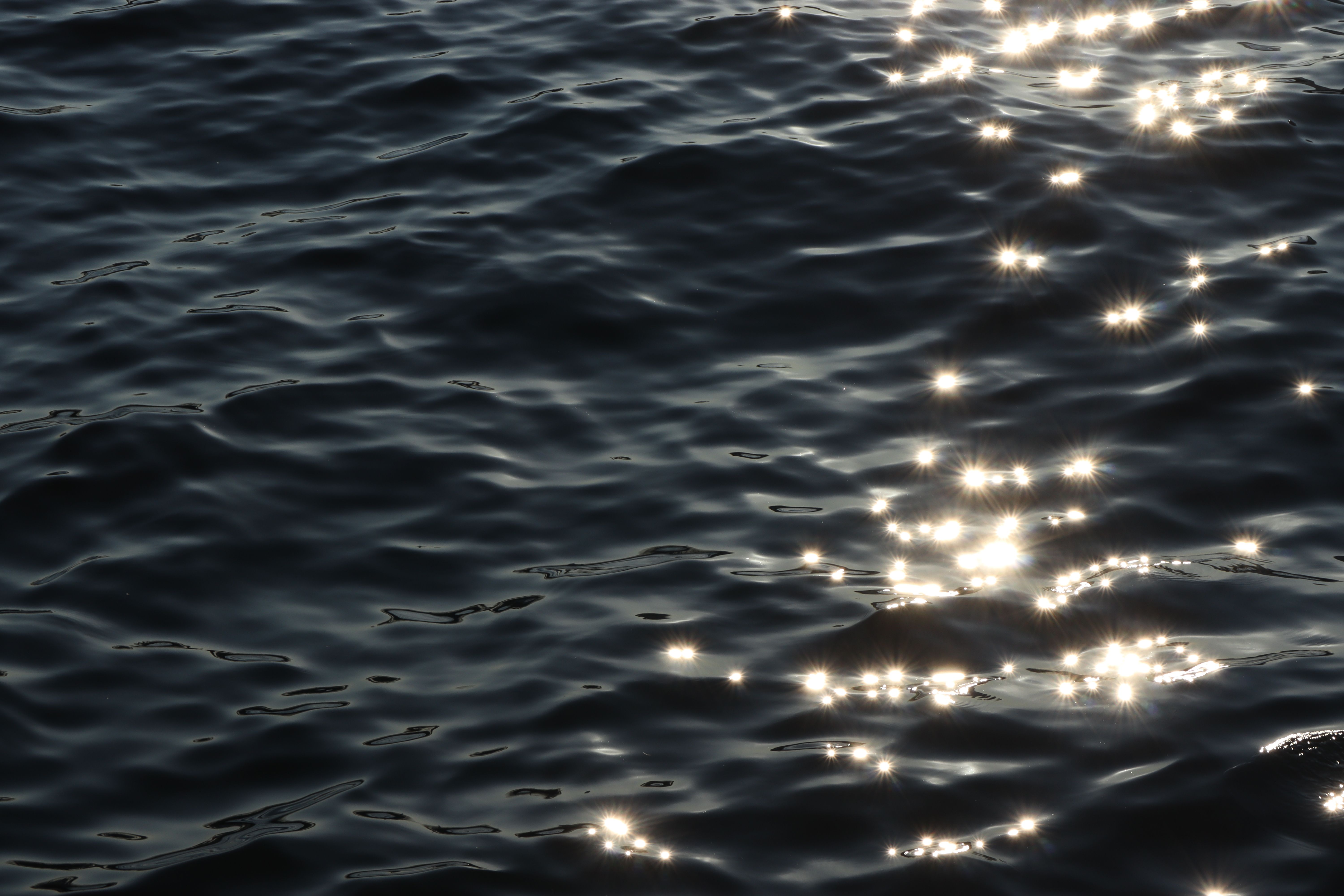 Beautiful sunlight creates sparkling reflections on a calm water surface, perfect for serene and peaceful themes.