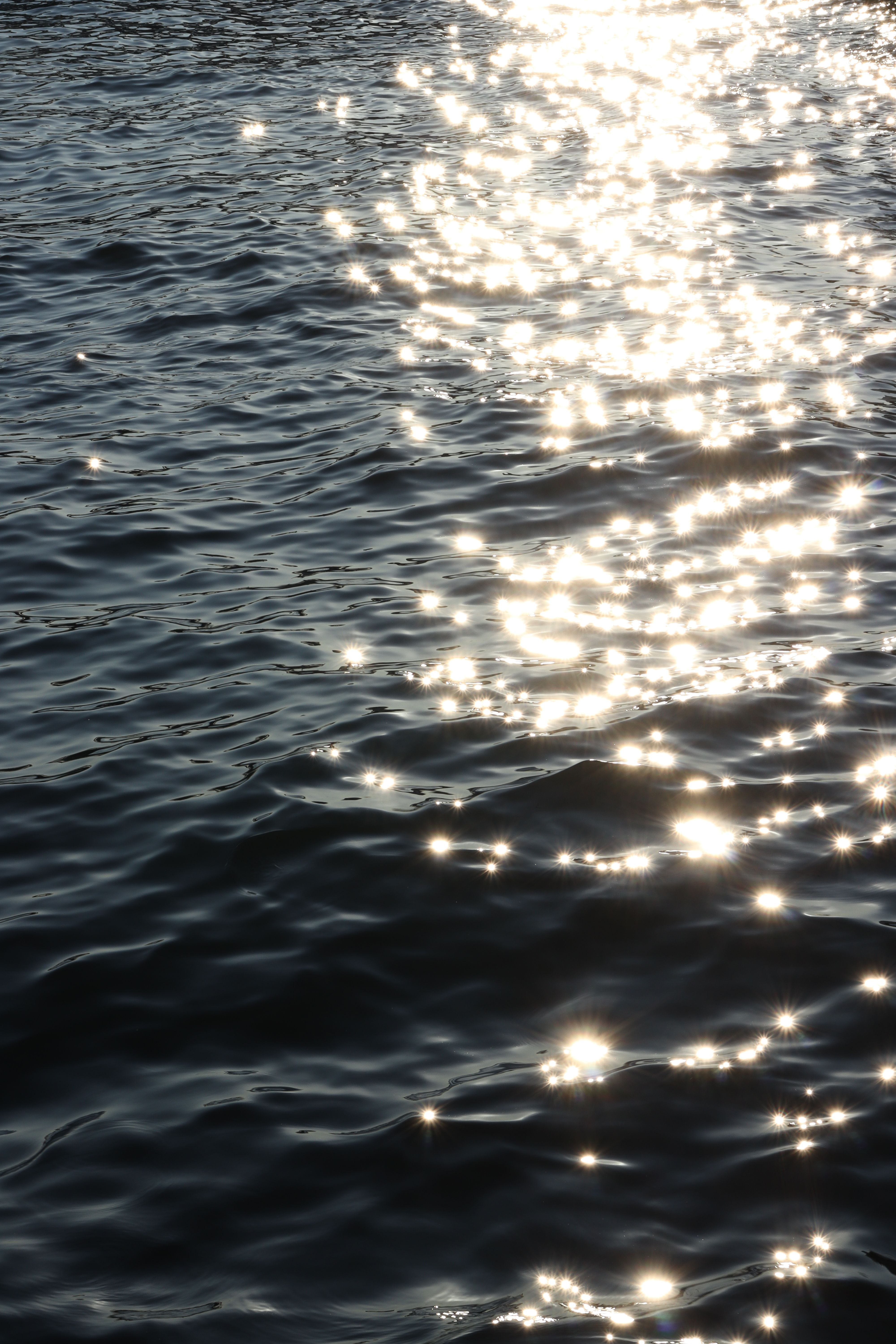 Sunlight Reflecting on Tranquil Water Surface · Free Stock Photo
