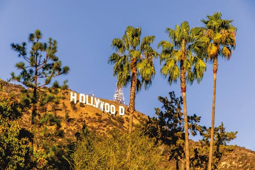 加州, 好萊塢, 洛杉磯 的 免费素材图片