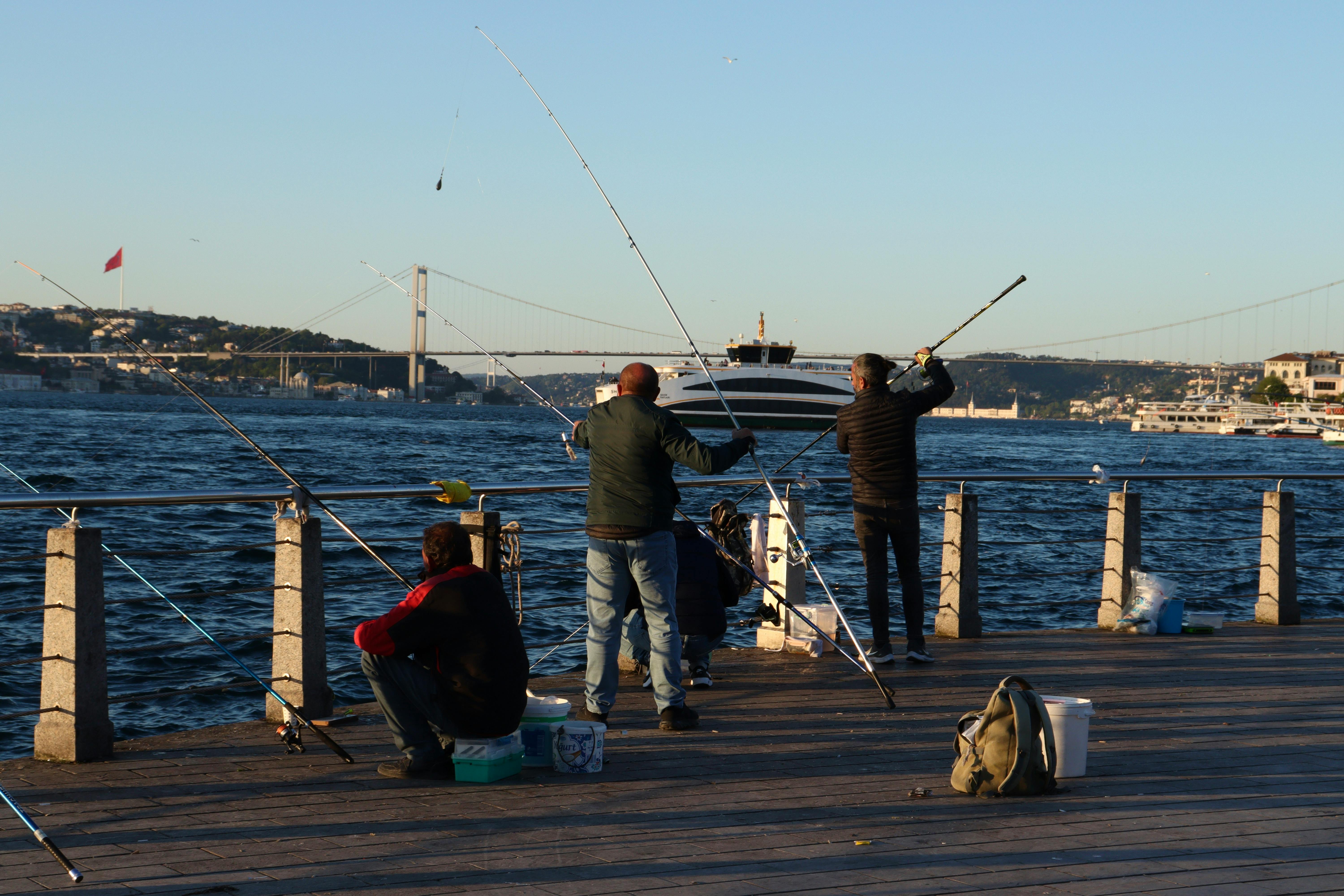 알리익스프레스 편리한 낚시 준비물 추천 관련 이미지
