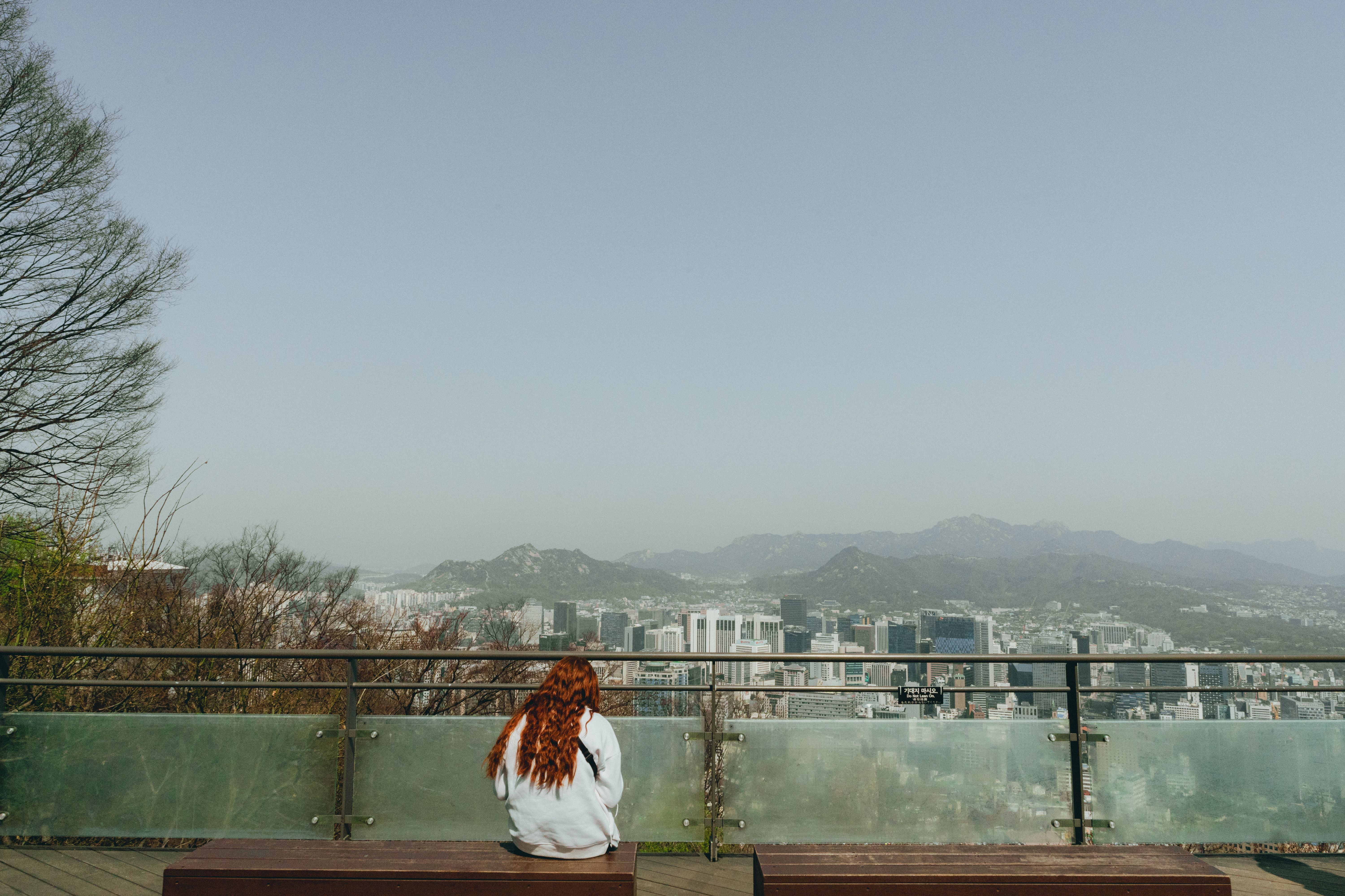 Seoul cosmetic surgery tourism demand — Photo by Theodore Nguyen on Pexels