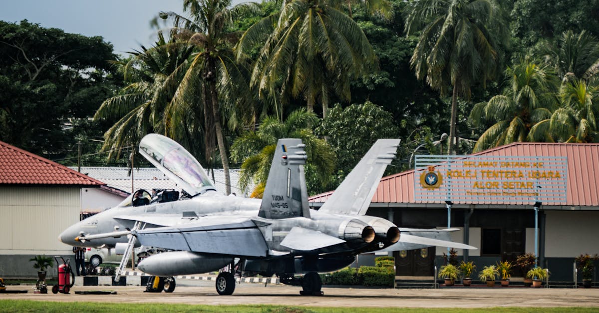 Photo by Ahmad Shakir Shamsulbadri Military fighter jets on an airstrip surrounded by tropical greenery and palm trees.