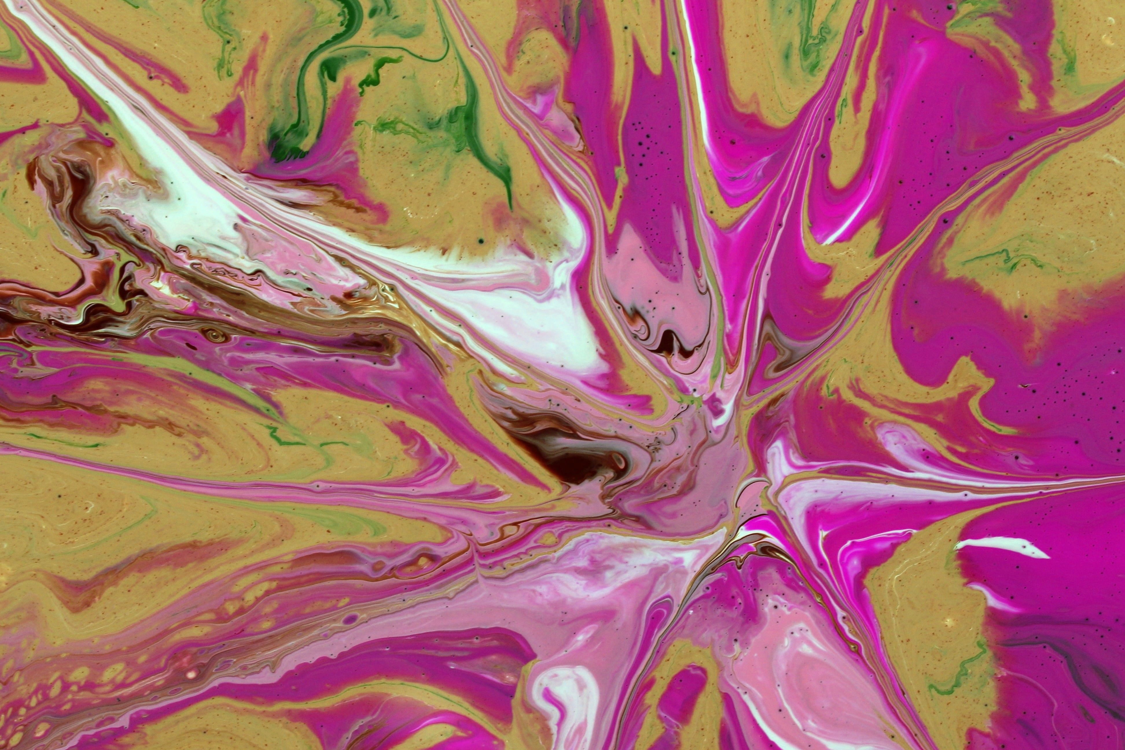 Vibrant Abstract Acrylic Fluid Painting · Free Stock Photo