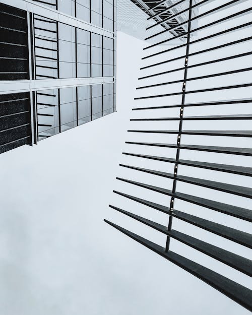 Tiro De ángulo Bajo De Un Edificio Moderno En Blanco Y Negro Con Exterior De Vidrio Y Valla De Hierro