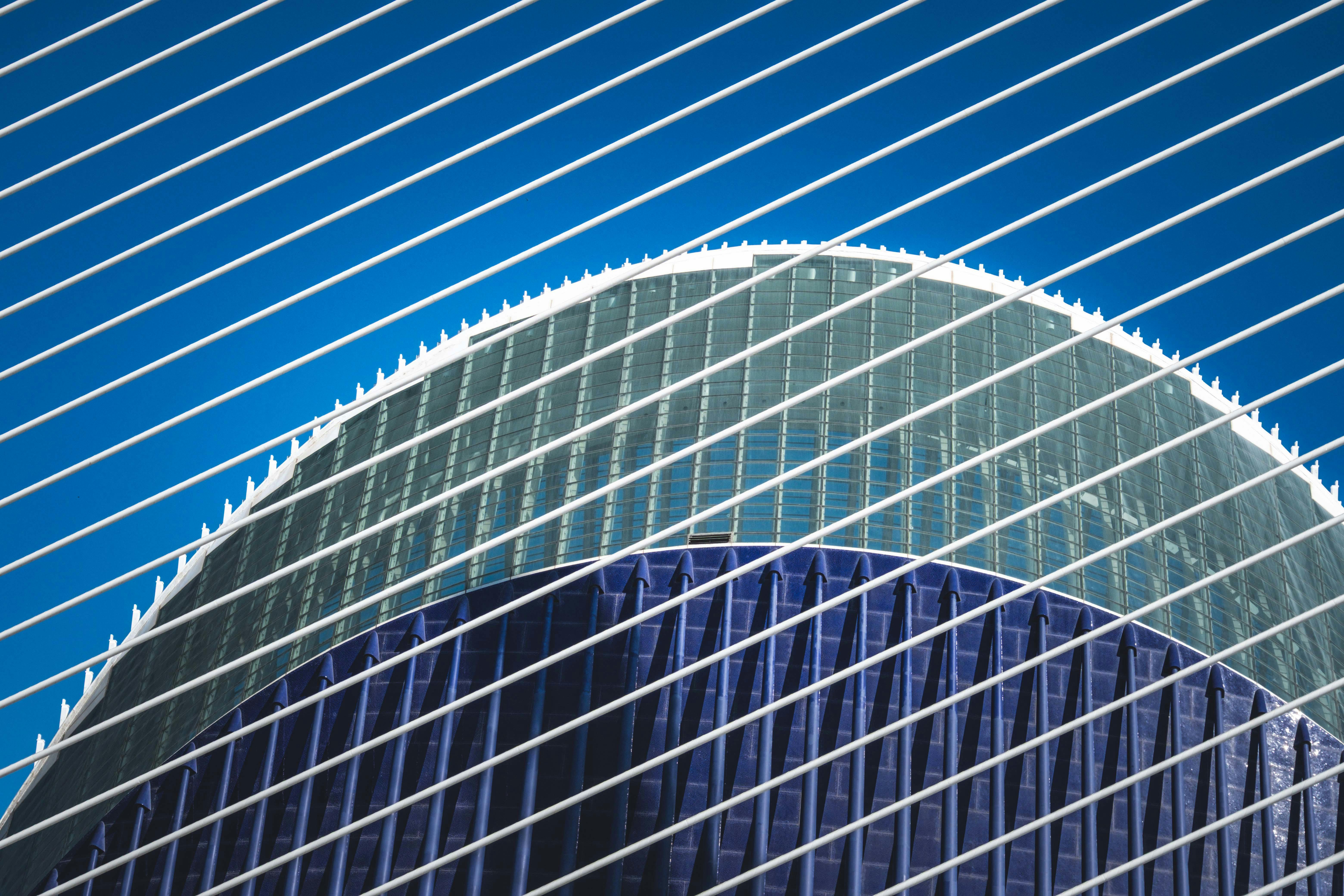 Allianz to transfer commercial cyber insurance business to Coalition in new partnership — Photo by Francesco Ungaro on Pexels