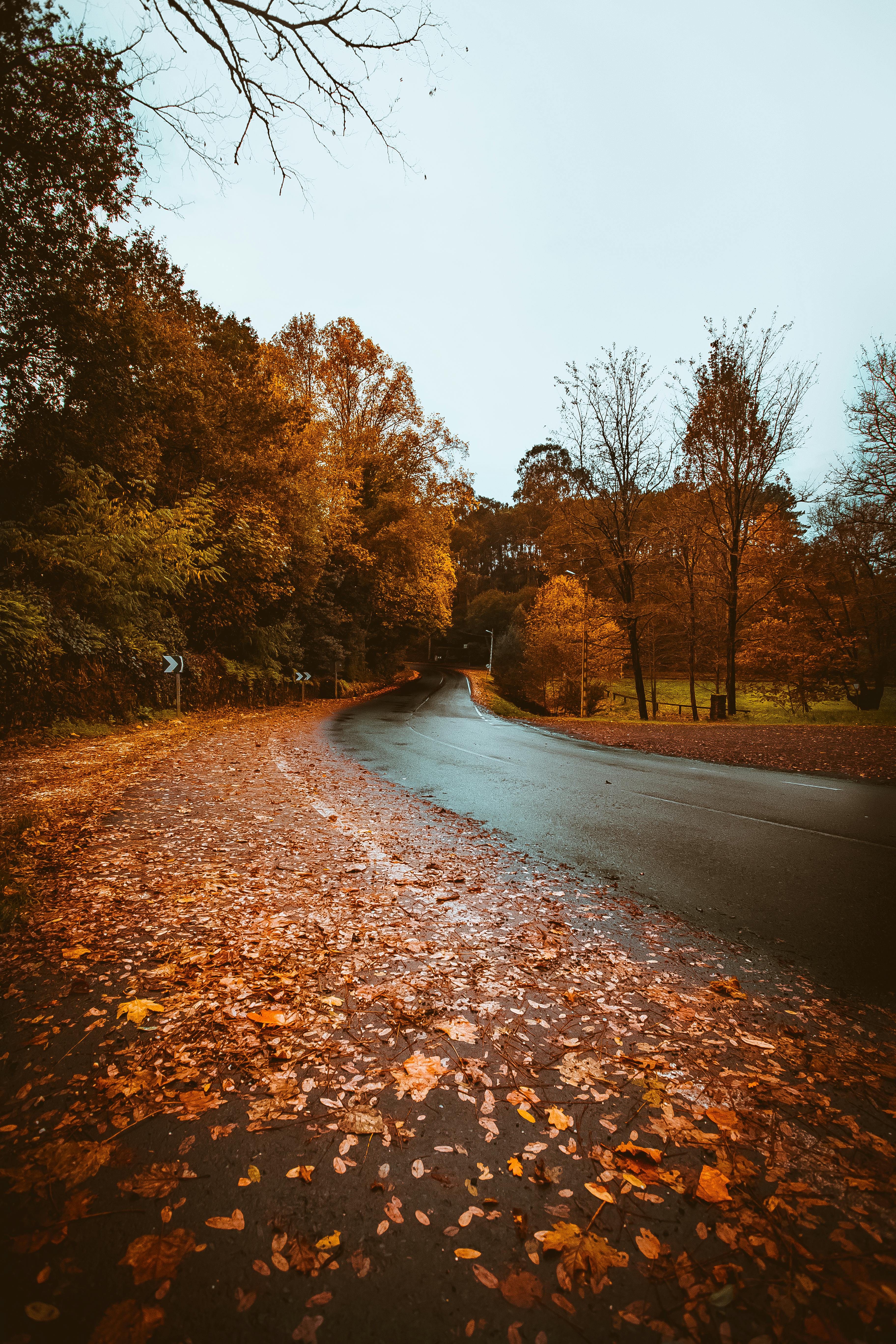 brown paved road under blue sky