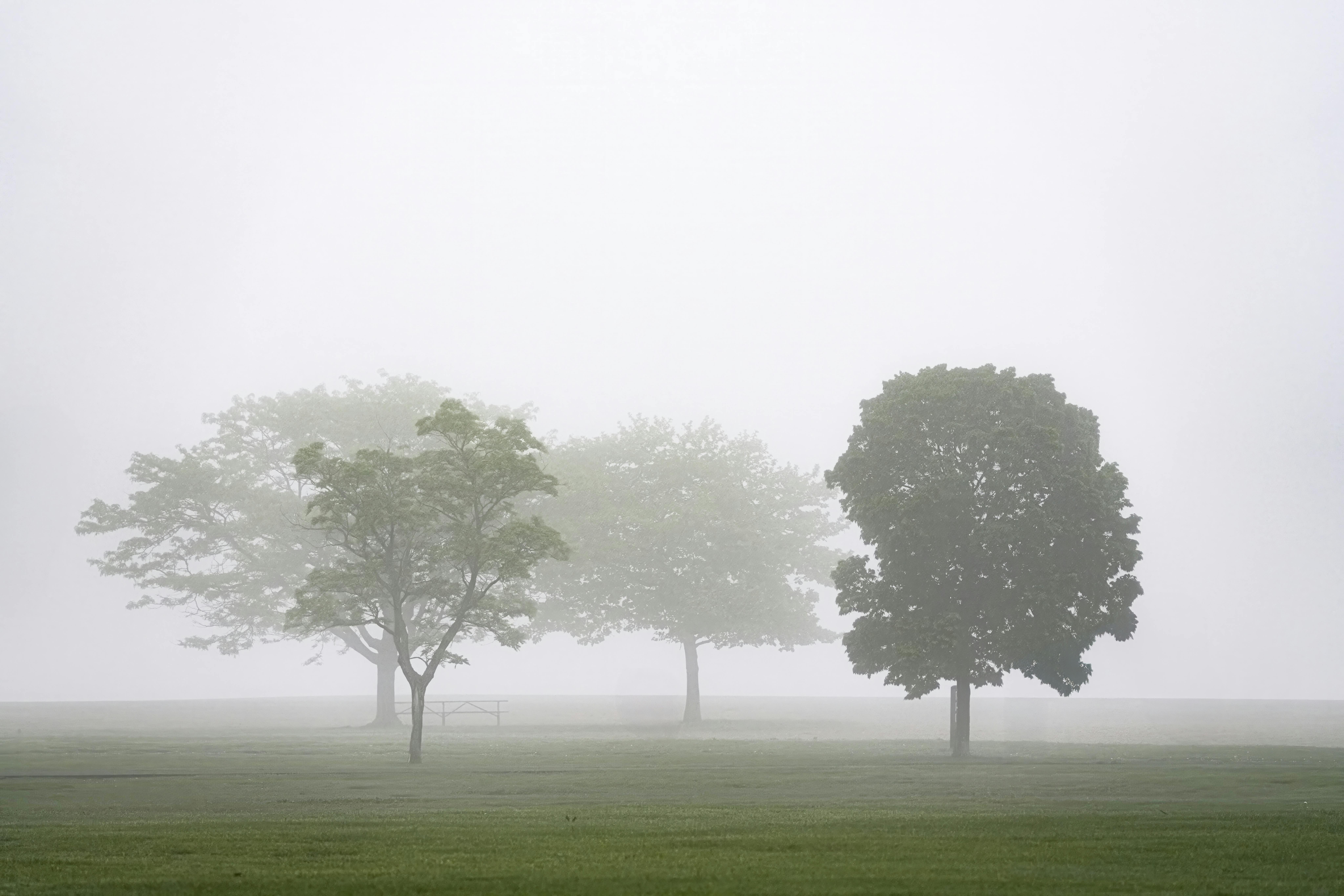Foggy morning. 60° F. Cove Island Park, Stamford, CT
